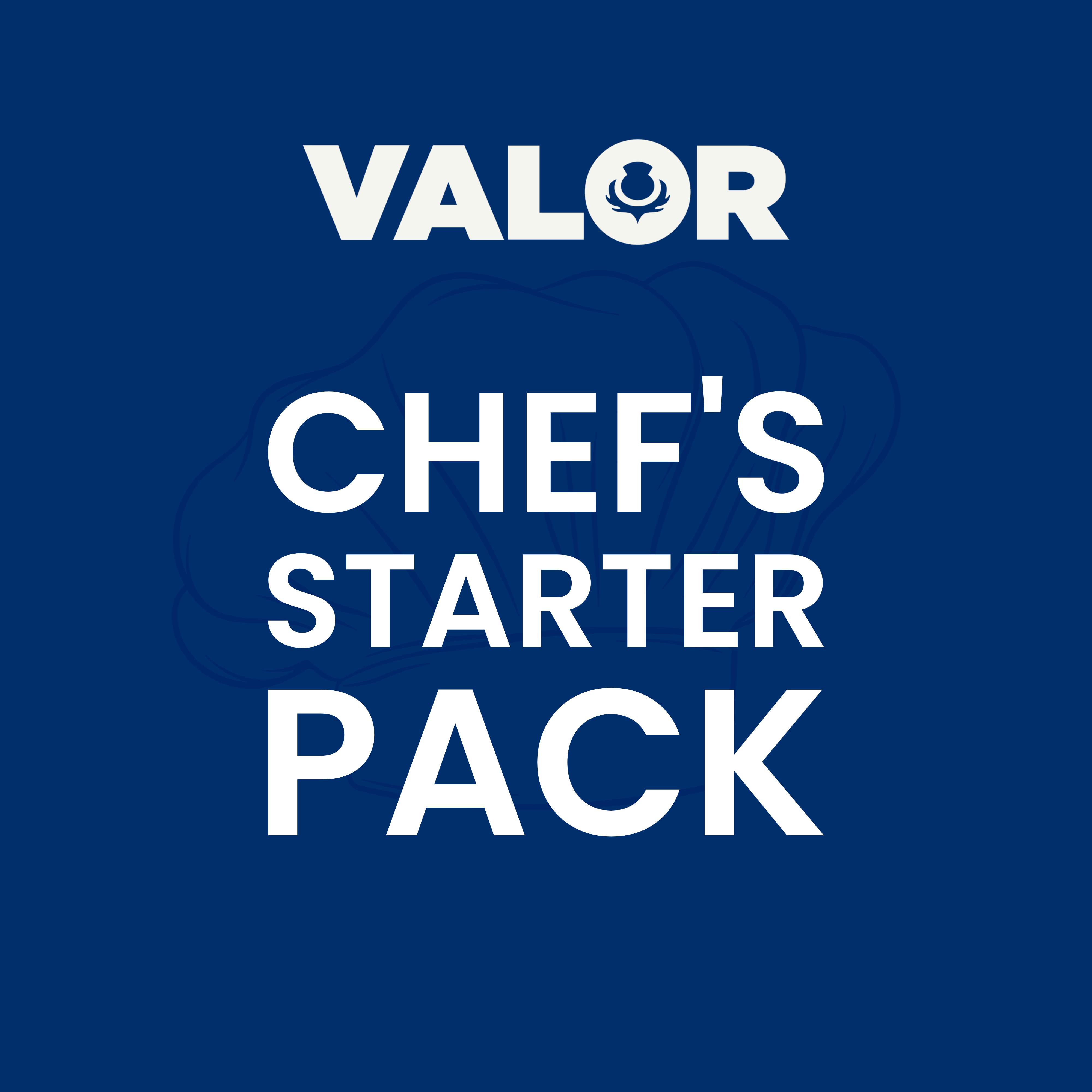 valor_starter_pack_2.png